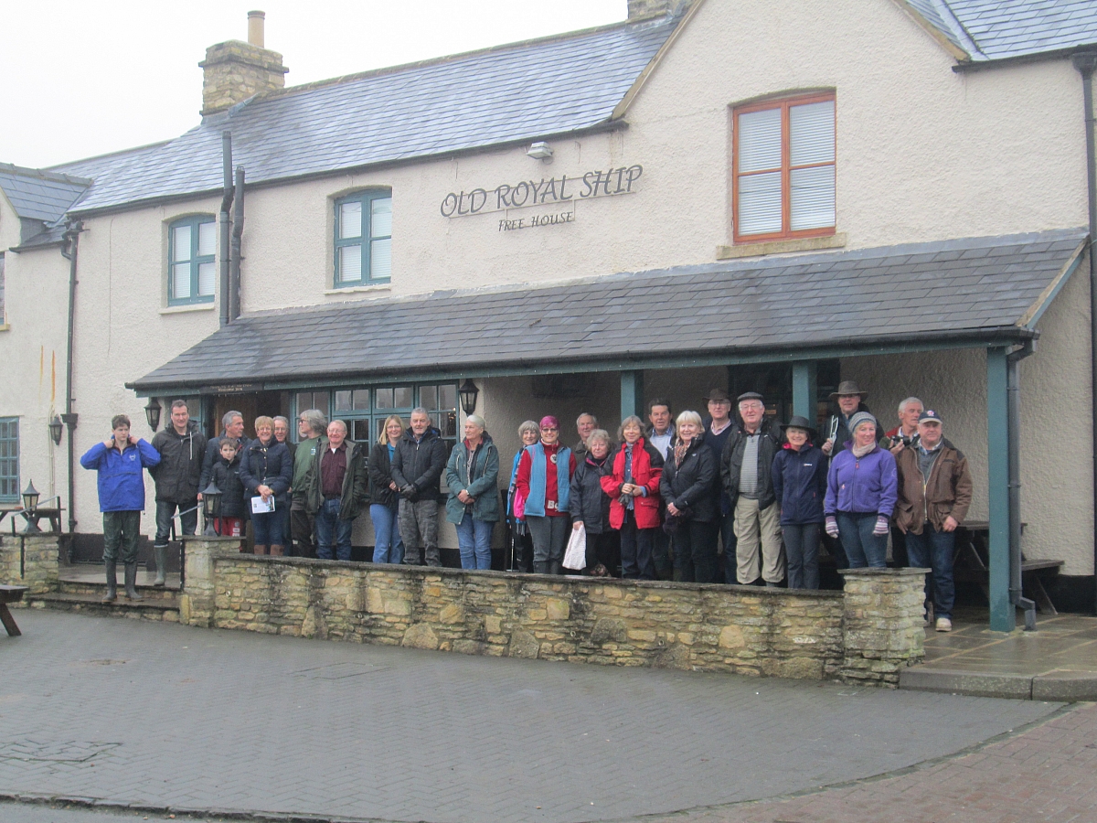 New Year Walk - 8th January 2017
