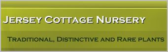 Camb Followers - Visit to Jersey Cottage Nurseries, Moulton, followed by lunch
