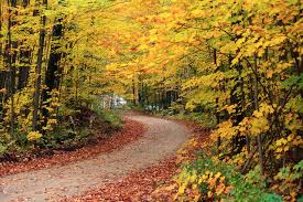 TR Lincs October 2022 Run