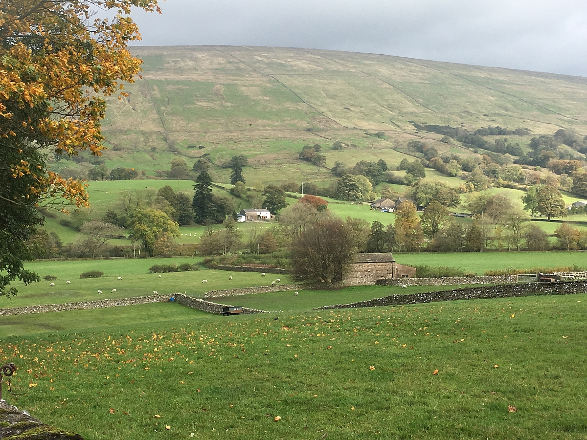AUTUMN LEAVES RUN 15th OCTOBER 2017