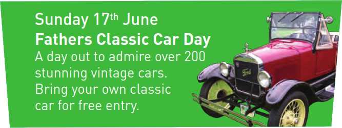 Devon Group - Father's Classic Car Day, Morwellham Quay 