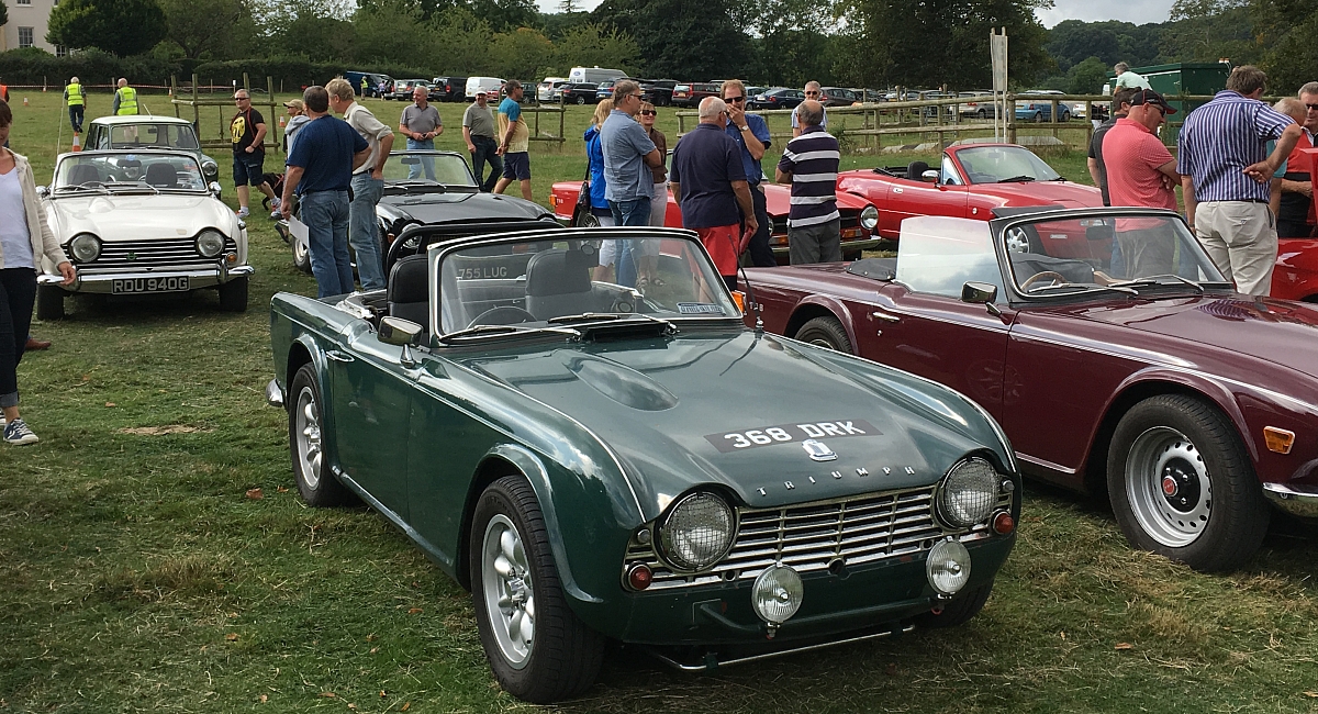 Devon Group - Thornfalcon Classic Show