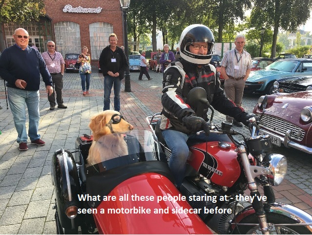 Social Scene Report - TR Action Issue 310
