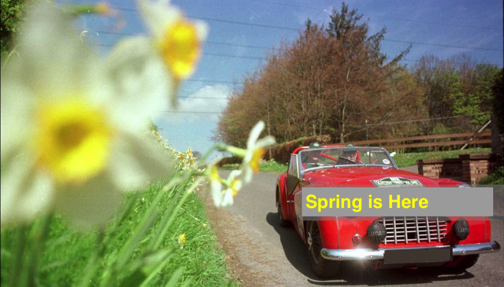 March 2019 Newsletter