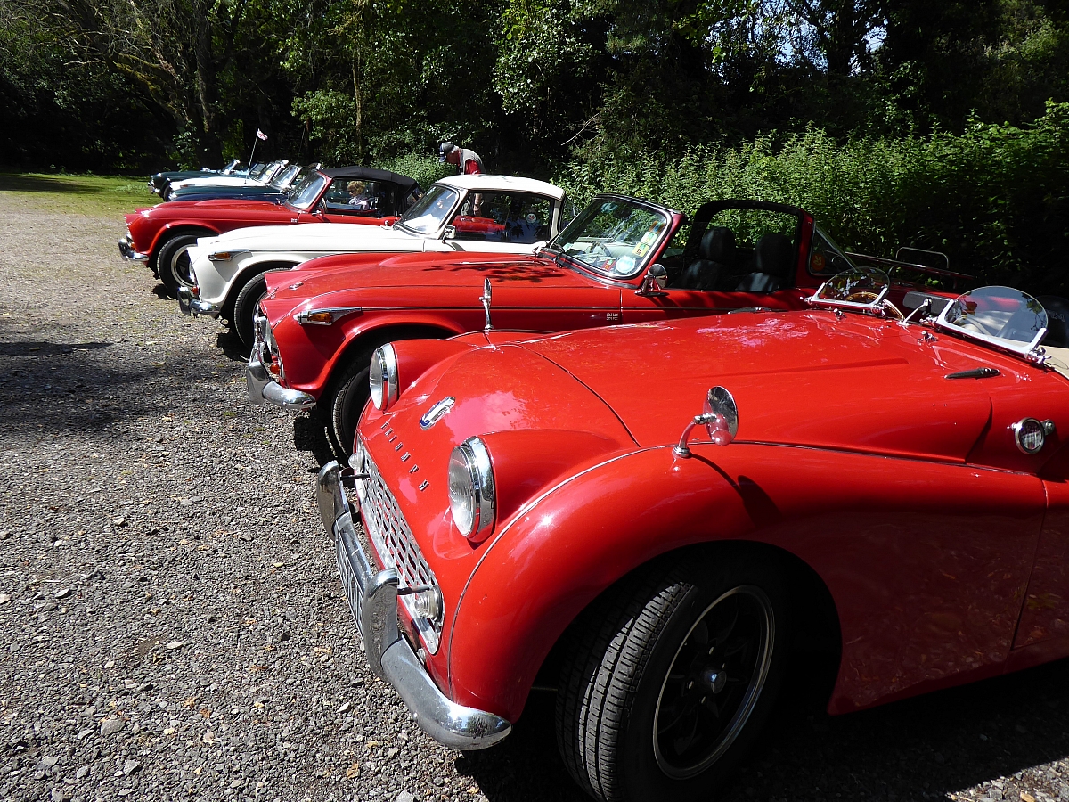 Monmouthshire & Forest of Dean Run - 7th July 2019