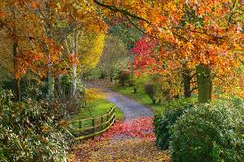 TR Register Shropshire Group Autumn Run 2019