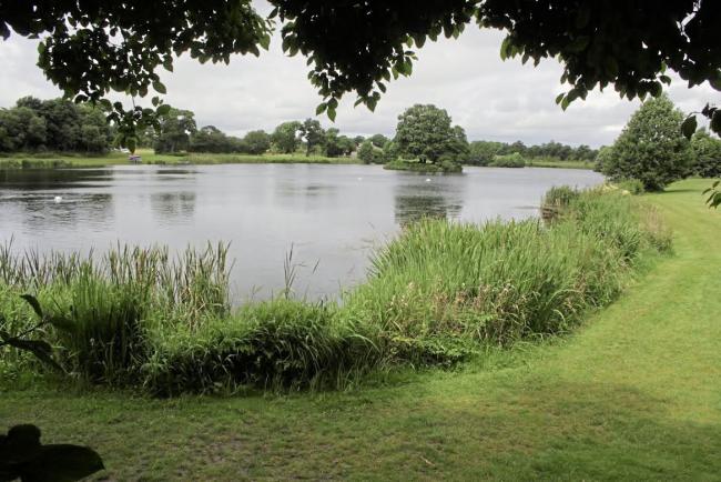 Shropshire Group - Alderford Lake Breakfast Meeting