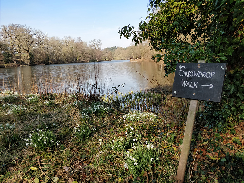 TR Register Shropshire Group Snowdrop Run 2020