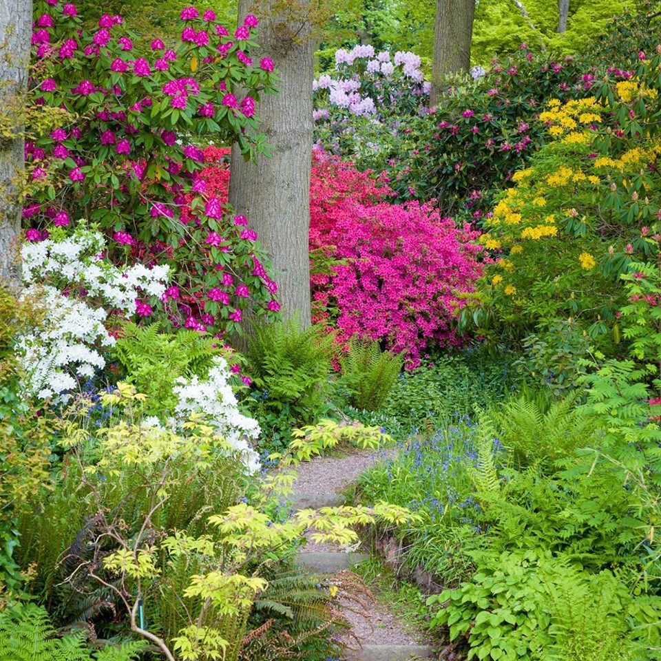 North Wales Group: Dorothy Clive Garden fund raising event