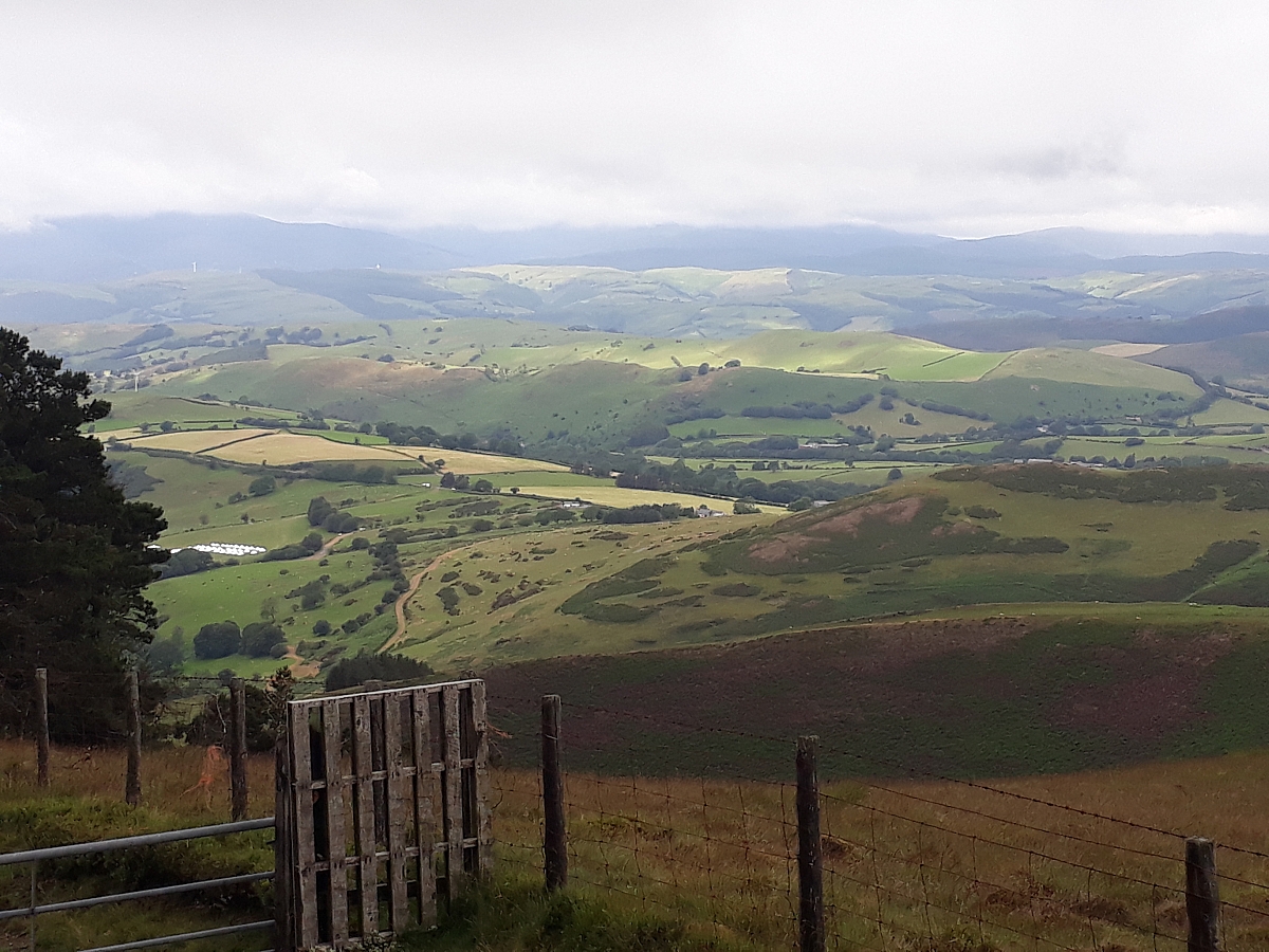 Shropshire Group's Wild Wales Run