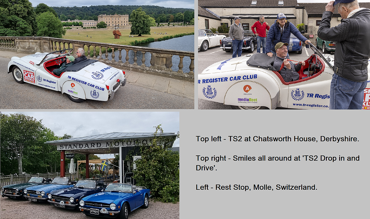 Social Scene Report - TRaction issue no. 341