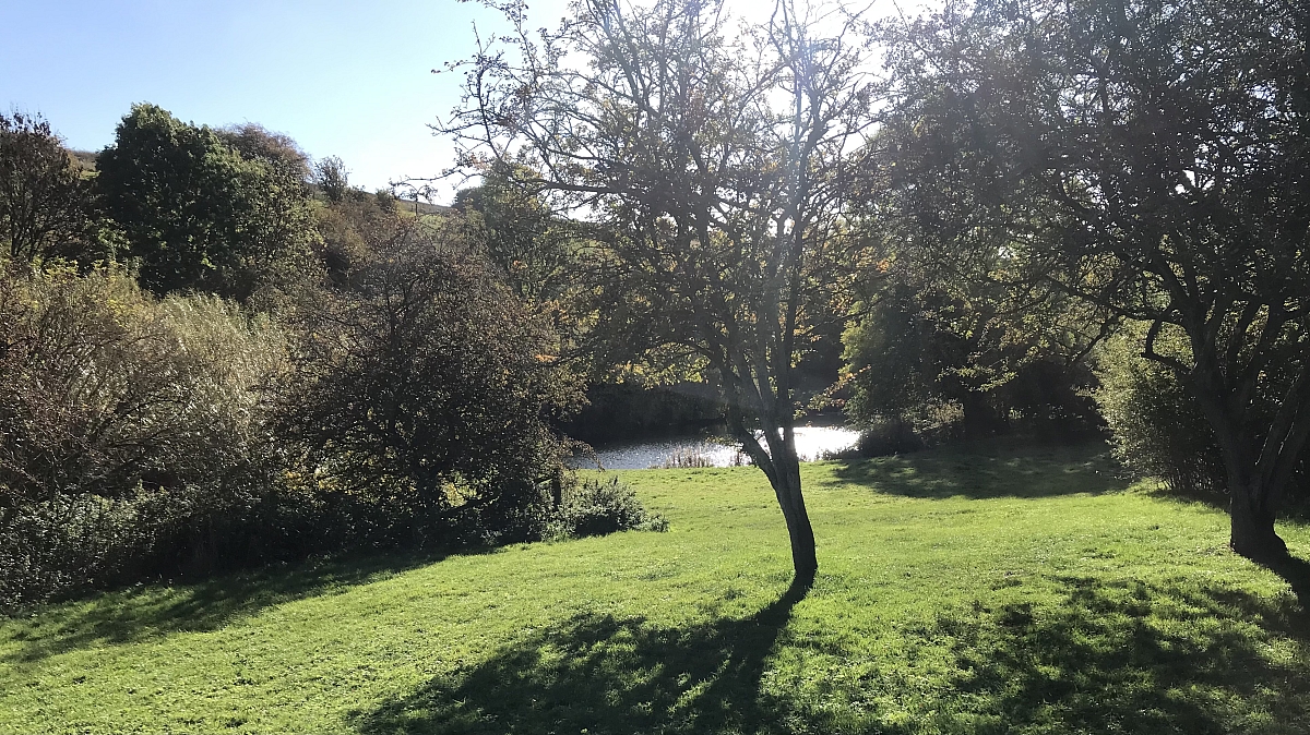 Wharfedale Yorkshire Wolds Autumn Leaves Run October 2022