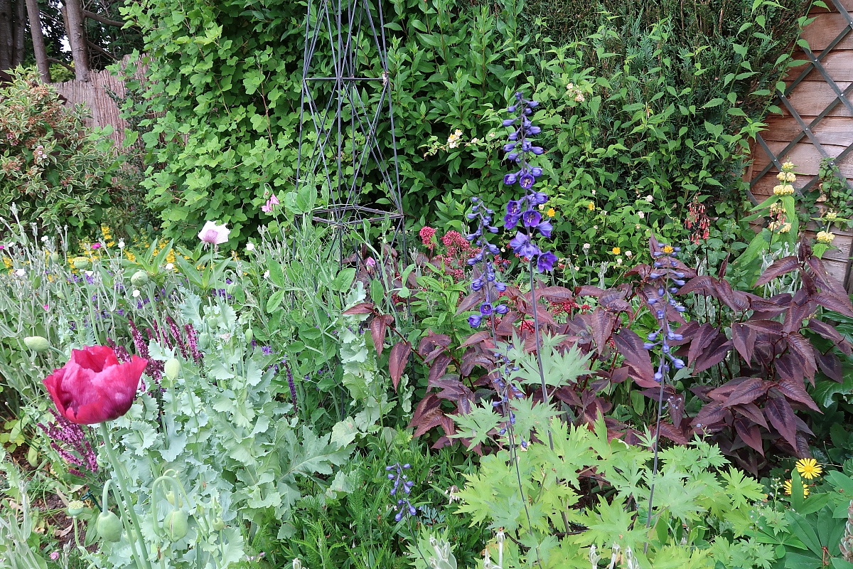 Shropshire Group visit to Dorthy Clive Gardens