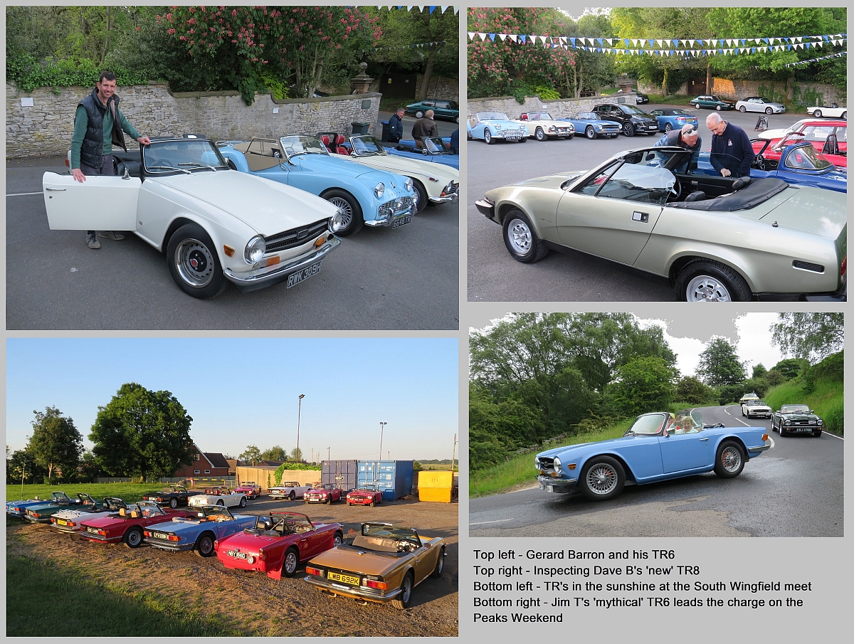 Social Scene Report - TRaction issue 346 part 2