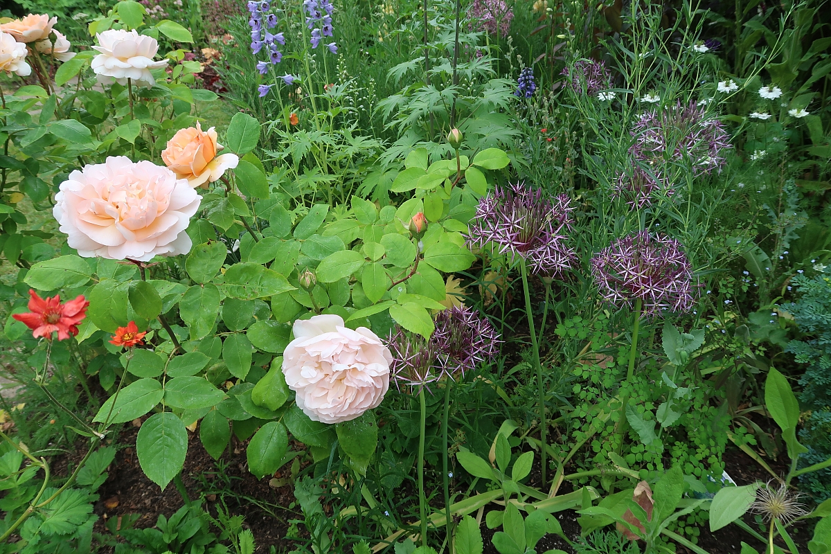 Shropshire Group's Visit to Westwood House Gardens