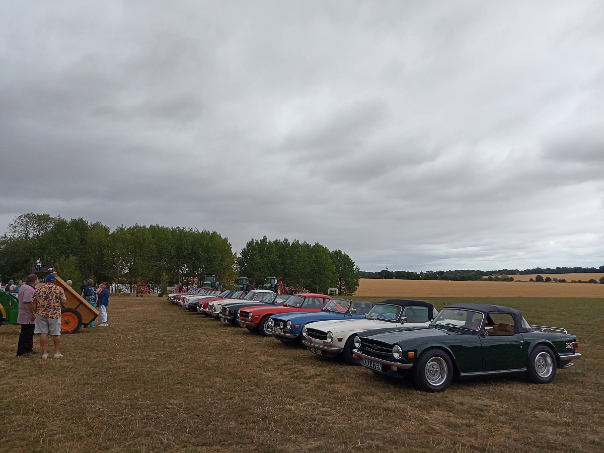 East Saxons Picnic on the Farm