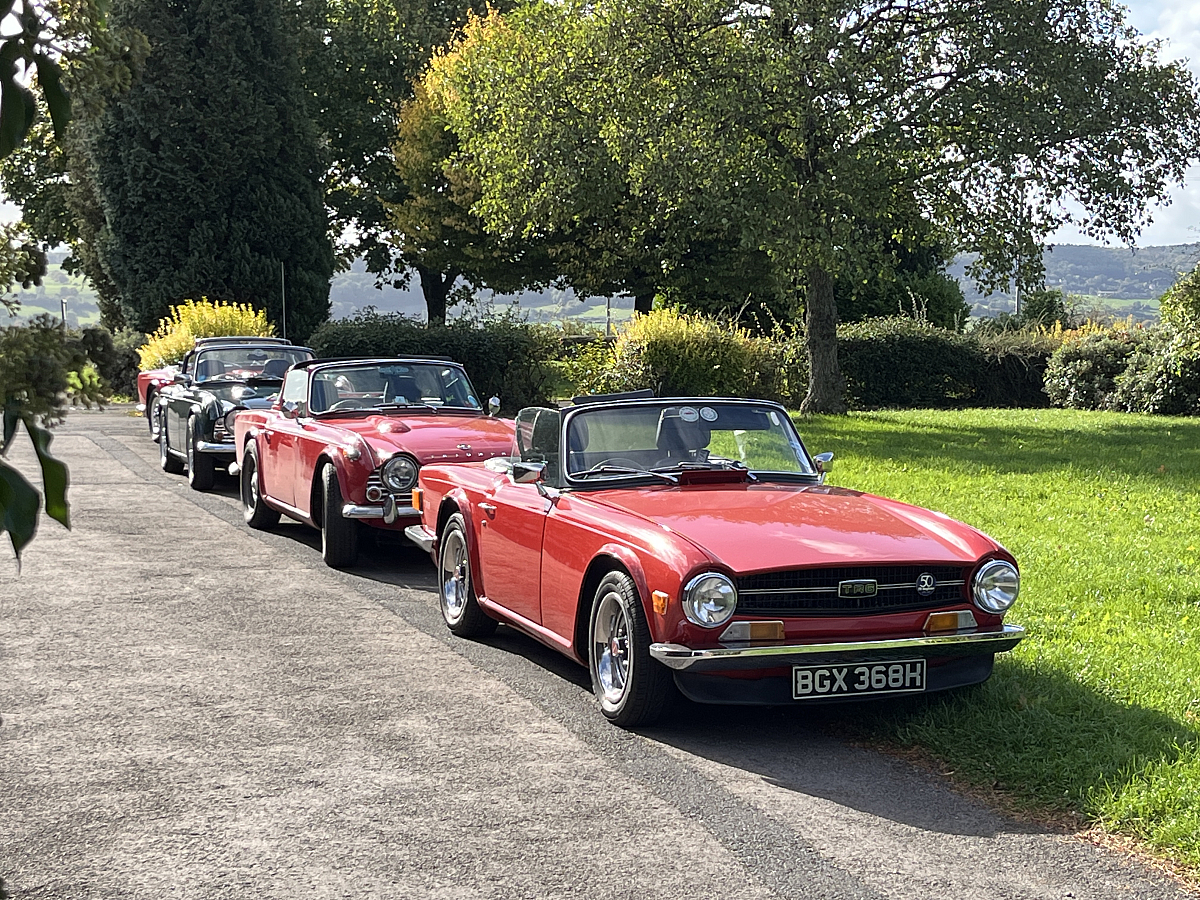 Glavon Group Tulip Run with Clues - 5th October 2025